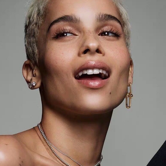 Thick Link U Shape Geometric Earrings - Picture 7 of 8